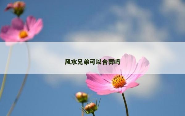 風(fēng)水兄弟可以合葬嗎