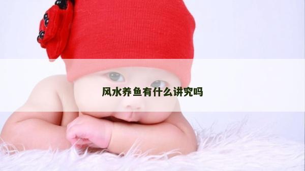 風(fēng)水養(yǎng)魚有什么講究嗎
