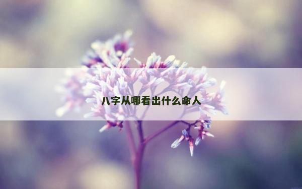 八字從哪看出什么命人