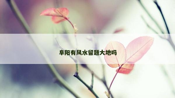 阜陽有風水留題大地嗎