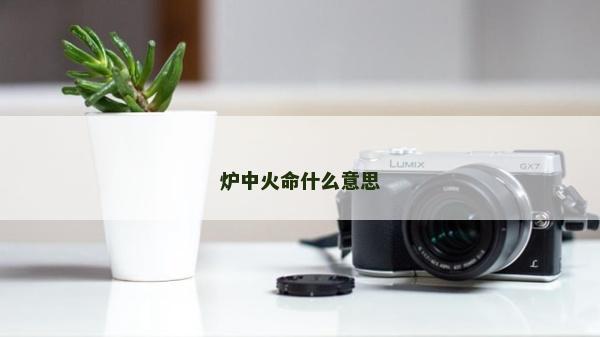 爐中火命什么意思