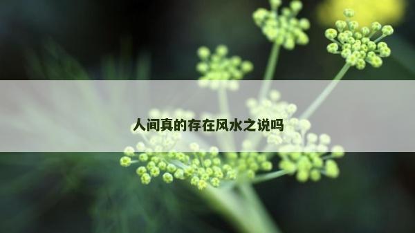人間真的存在風水之說嗎 人間真的存在風水之說嗎