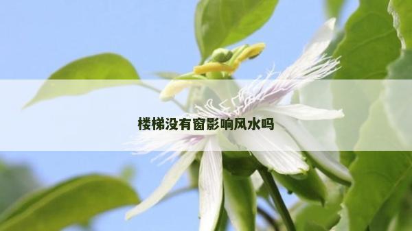 樓梯沒有窗影響風水嗎
