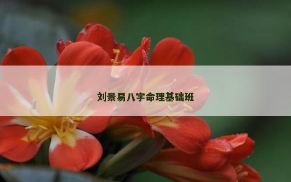 劉景易八字命理基礎(chǔ)班