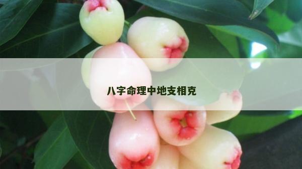 八字命理中地支相克