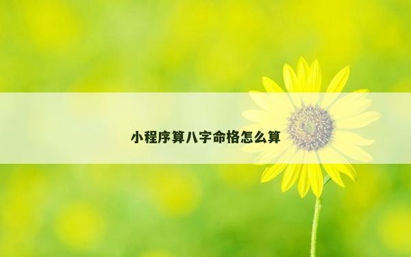 小程序算八字命格怎么算