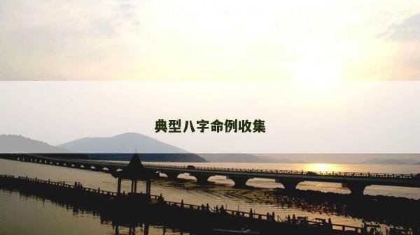 典型八字命例收集