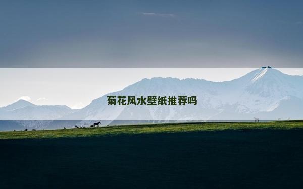 菊花風水壁紙推薦嗎