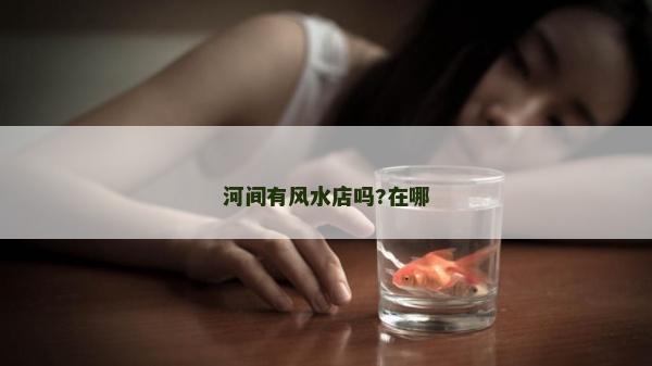 河間有風(fēng)水店嗎?在哪