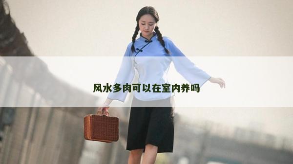 風水多肉可以在室內養嗎