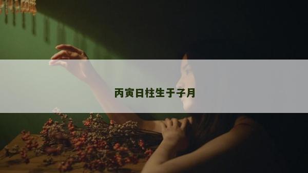 丙寅日柱生于子月