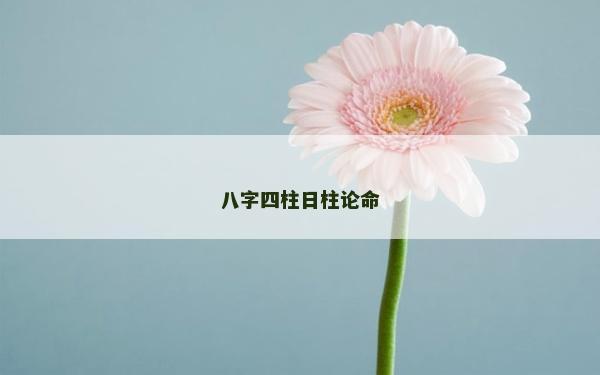 八字四柱日柱論命