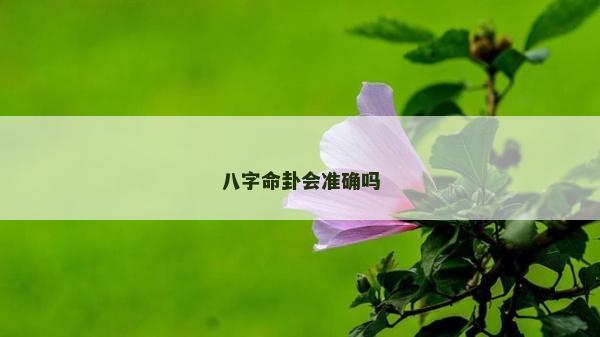 八字命卦會準(zhǔn)確嗎