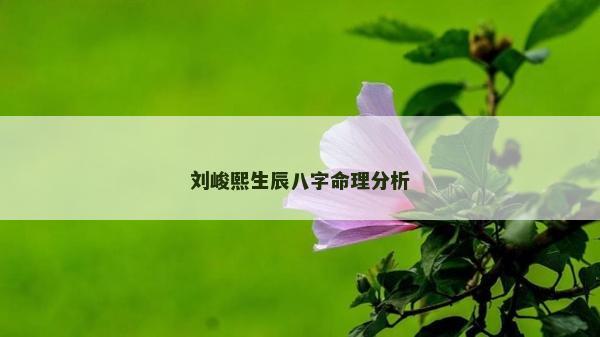 劉峻熙生辰八字命理分析 劉峻熙生辰八字命理分析