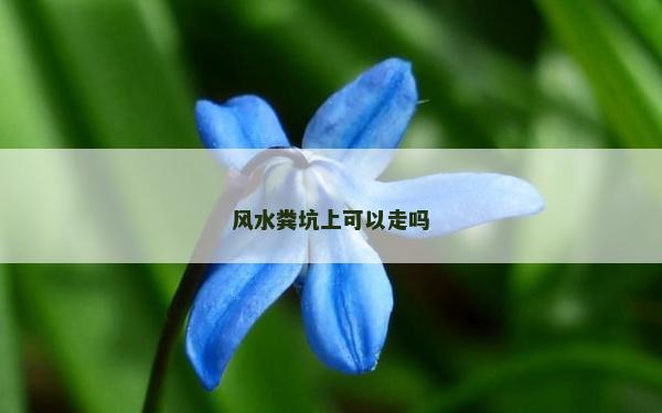 風水糞坑上可以走嗎