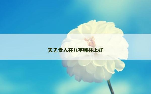 天乙貴人在八字哪柱上好