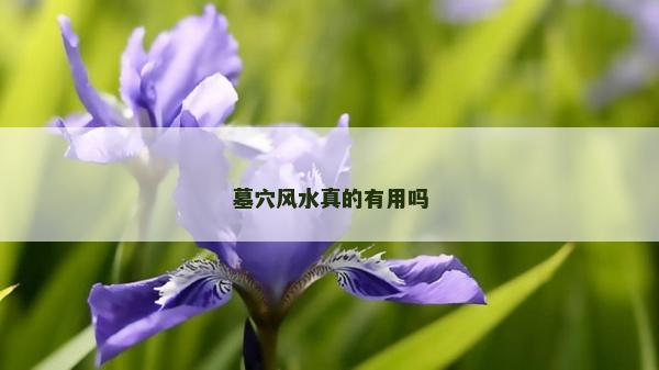 墓穴風(fēng)水真的有用嗎