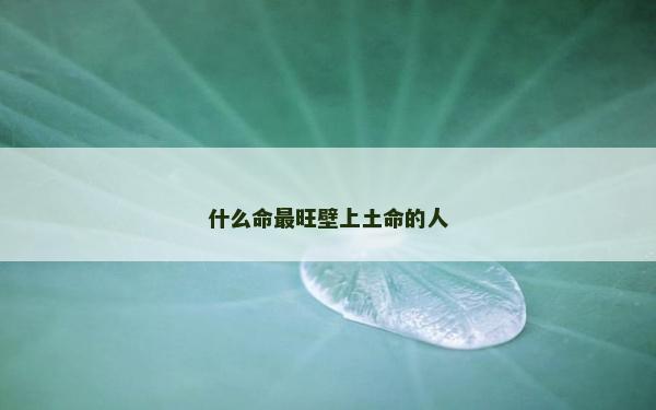 什么命最旺壁上土命的人