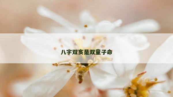 八字雙亥是雙童子命