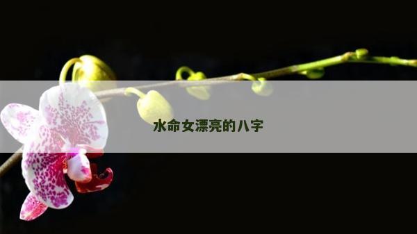 水命女漂亮的八字