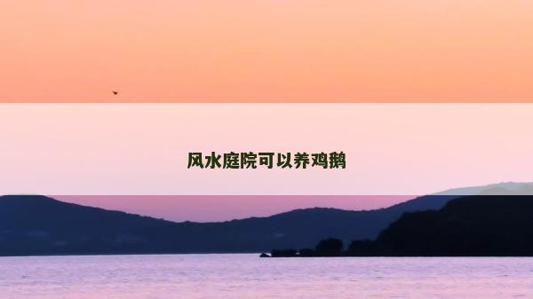 風水庭院可以養(yǎng)雞鵝