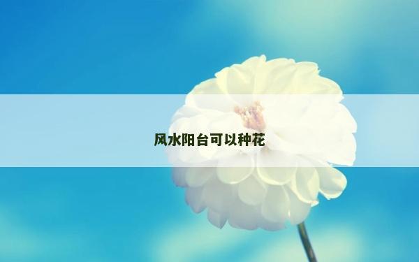 風水陽臺可以種花