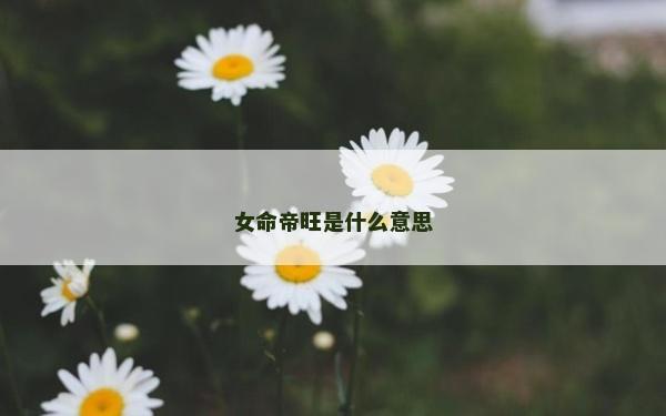 女命帝旺是什么意思