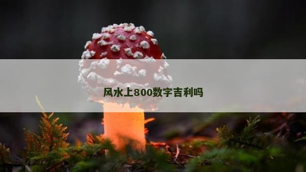 風(fēng)水上800數(shù)字吉利嗎