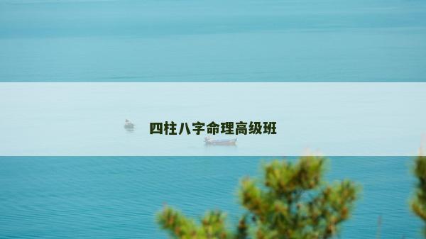 四柱八字命理高級班 四柱八字命理高級班
