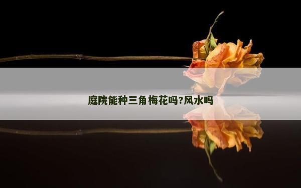庭院能種三角梅花嗎?風水嗎