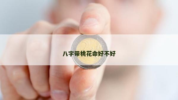 八字帶桃花命好不好