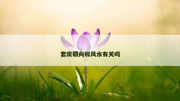 套房朝向和風(fēng)水有關(guān)嗎