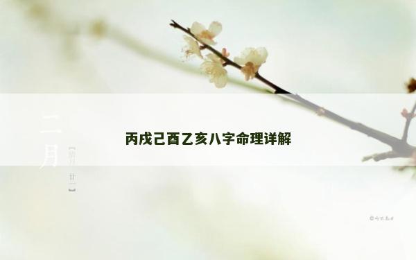 丙戌己酉乙亥八字命理詳解