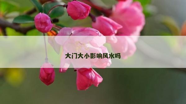 大門大小影響風水嗎