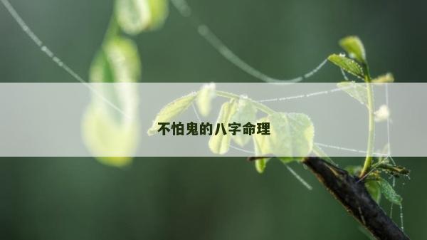 不怕鬼的八字命理