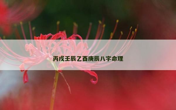 丙戌壬辰乙酉庚辰八字命理