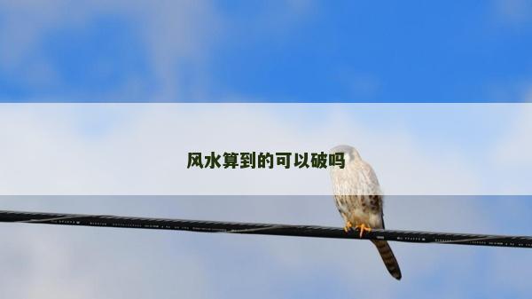 風(fēng)水算到的可以破嗎