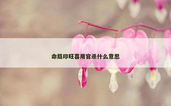 命局印旺喜用官殺什么意思