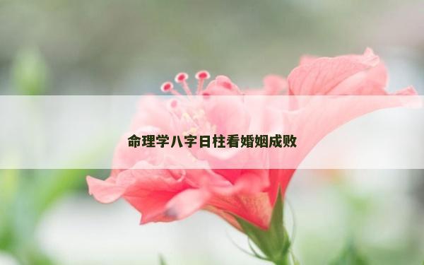命理學八字日柱看婚姻成敗