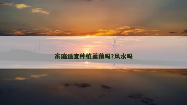 家庭適宜種植蓮藕嗎?風(fēng)水嗎
