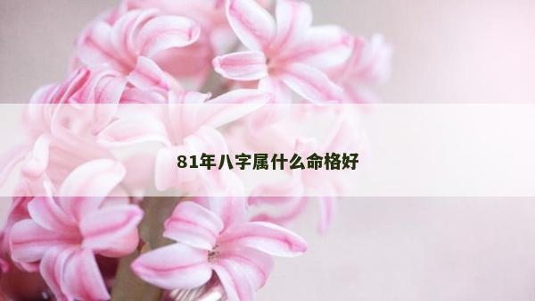 81年八字屬什么命格好