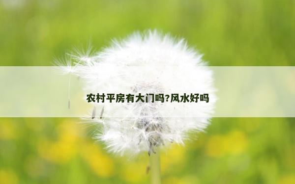 農(nóng)村平房有大門嗎?風(fēng)水好嗎