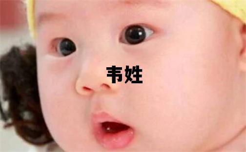 韋姓朗朗上口的男孩名字