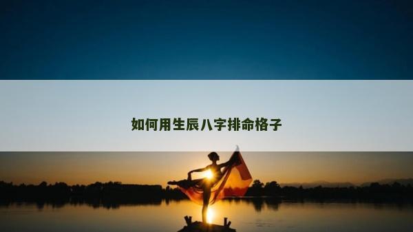 如何用生辰八字排命格子