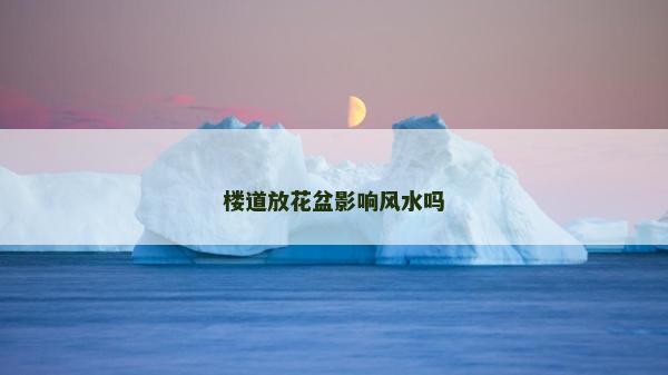 樓道放花盆影響風水嗎