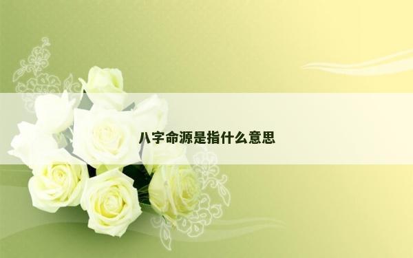 八字命源是指什么意思