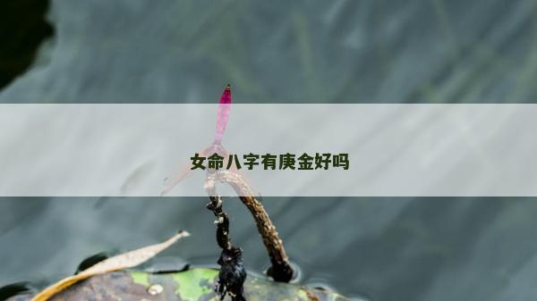 女命八字有庚金好嗎