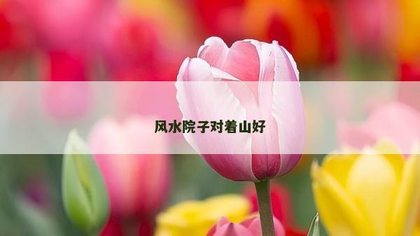 風水院子對著山好