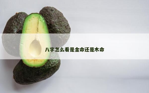 八字怎么看是金命還是木命