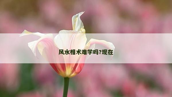 風水相術(shù)難學嗎?現(xiàn)在